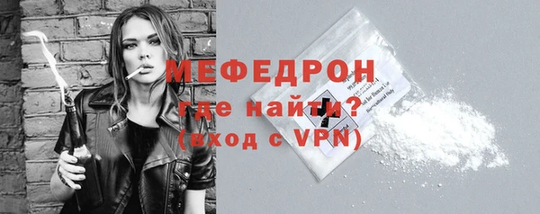 индика Абаза