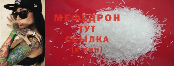 индика Абаза