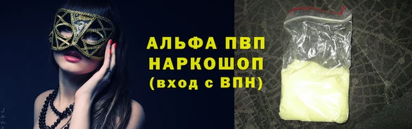 индика Абаза