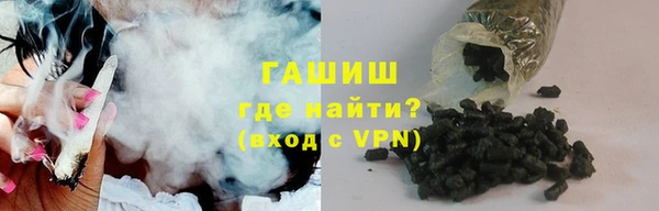 индика Абаза