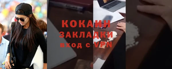 индика Абаза