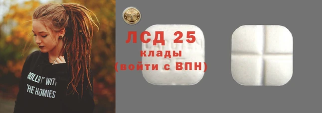 индика Абаза