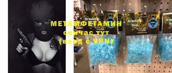 индика Абаза