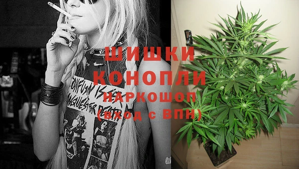 индика Абаза