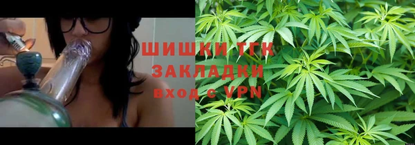 индика Абаза