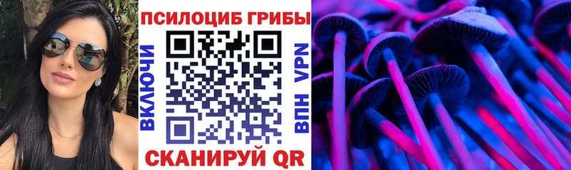 Псилоцибиновые грибы прущие грибы  Болохово 